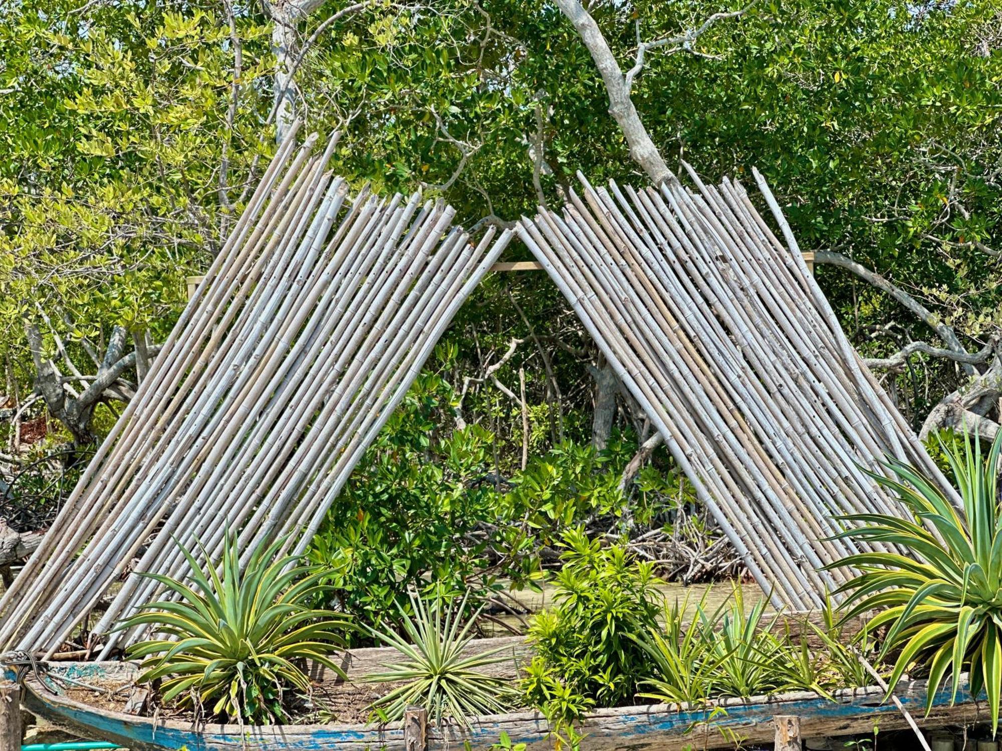Medusa Hostel Isla Tintipan Tintipan Island Eksteriør billede