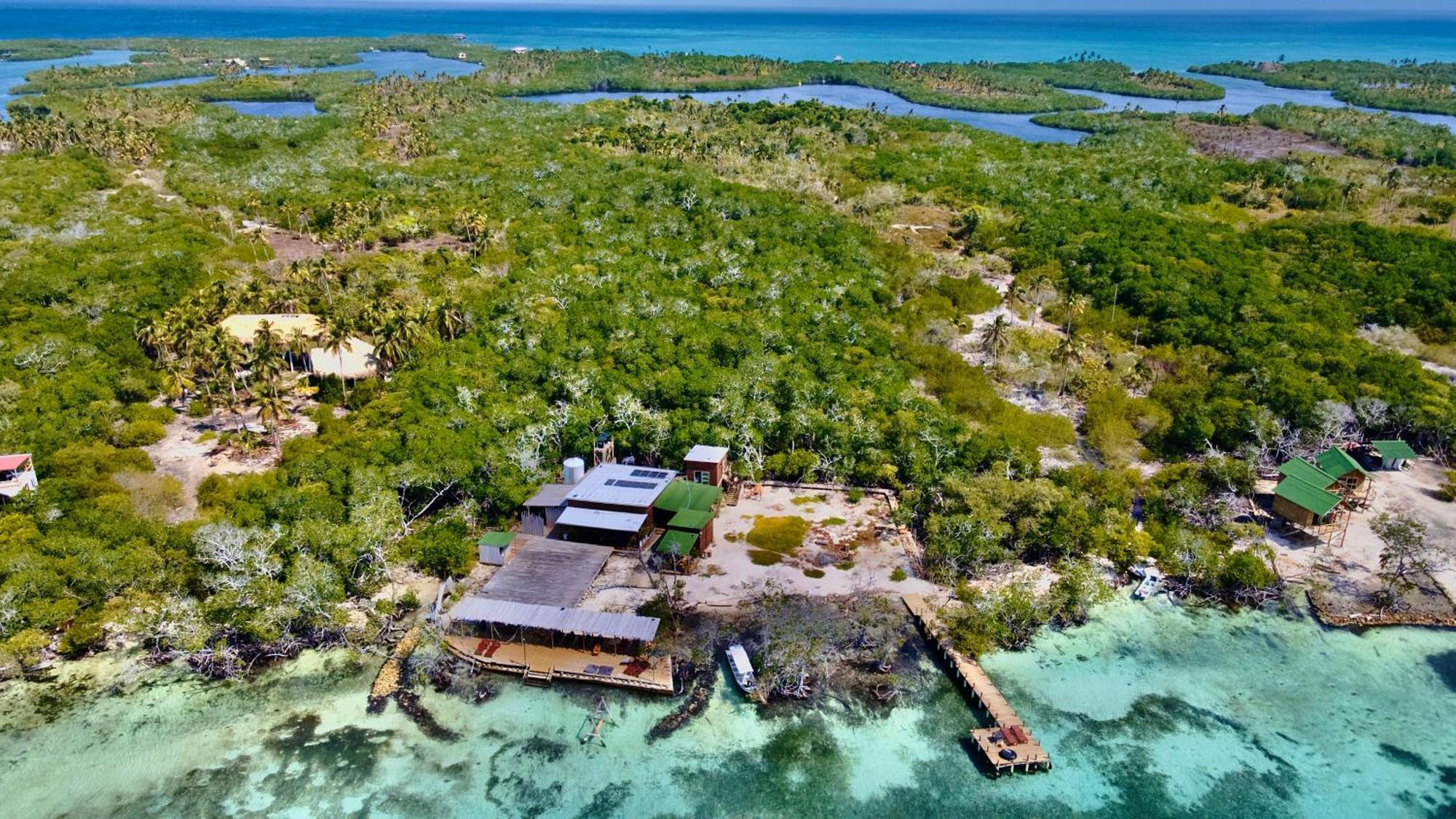 Medusa Hostel Isla Tintipan Tintipan Island Eksteriør billede