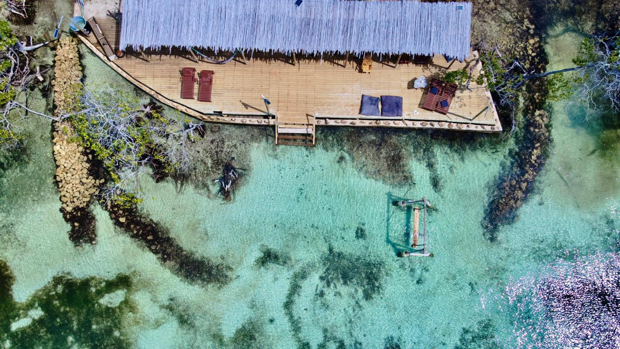 Medusa Hostel Isla Tintipan Tintipan Island Eksteriør billede
